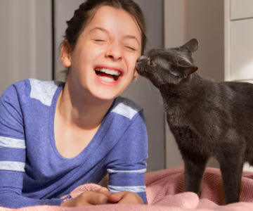 A black cat licks a young girl's face