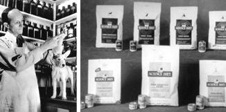 Dr. Mark Morris Jr. working with a pet  