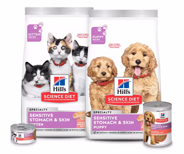 Packshot