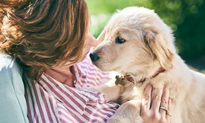 A puppy with his pet parent